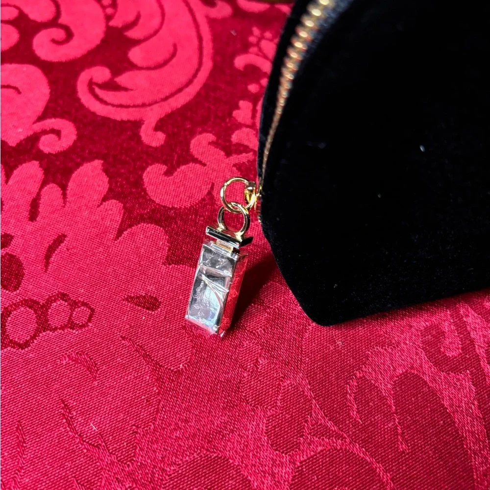 DOLCE and GABBANA small Pouch Trousse - Picture 5 of 7
